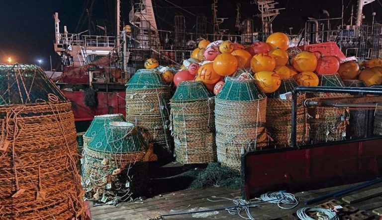 INIDEP en simultaneo, merluza en el norte y centolla en el sur