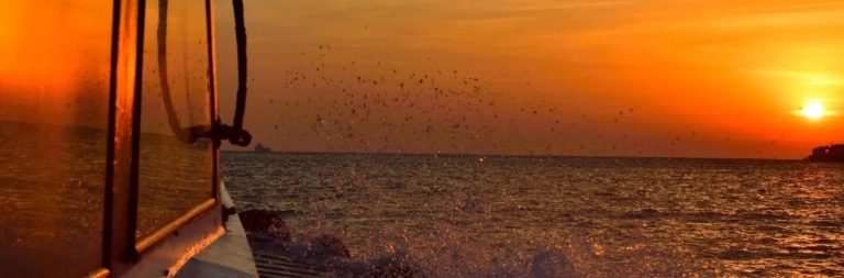 MDP Port Management, log铆stica y movimiento de buques en el puerto local