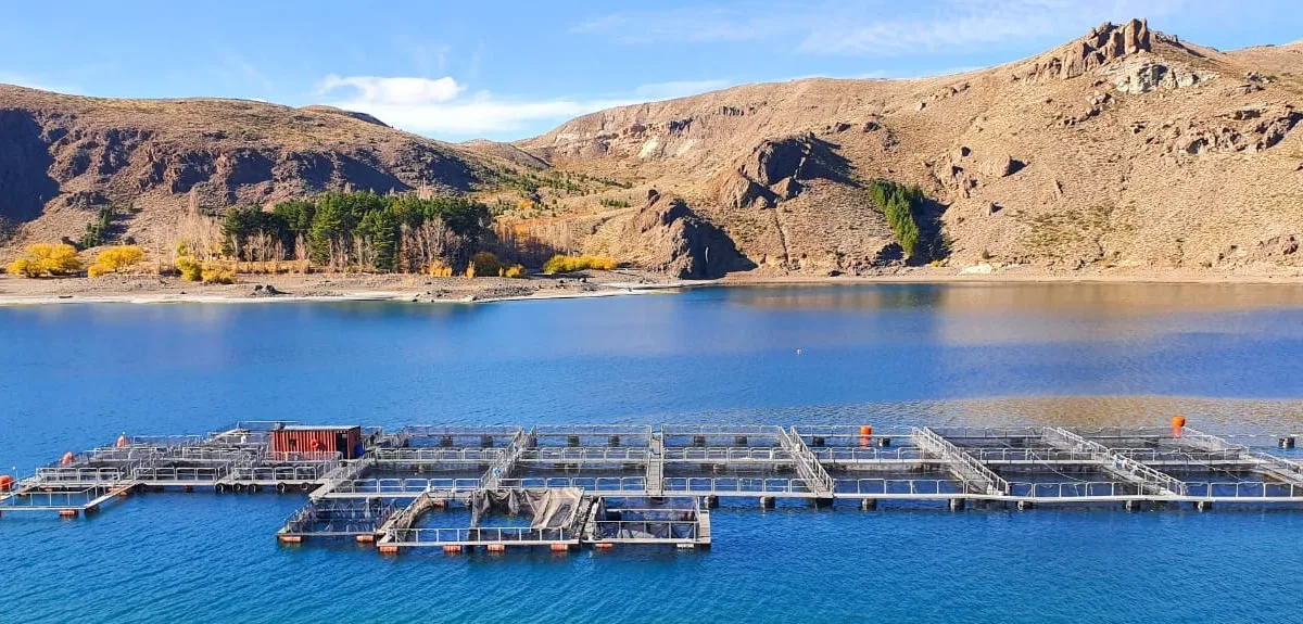 Acuicultura. Programa Nacional de Desarrollo Acuícola Sustentable