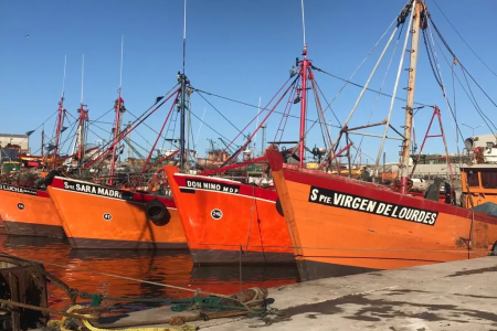 Panorama pesquero de Mar del Plata