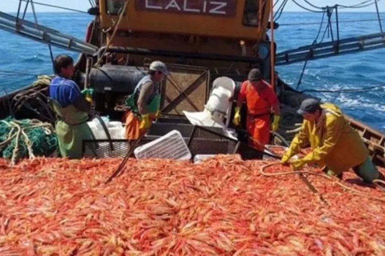 Adri谩n Awstin, habla de la pesca de langostino