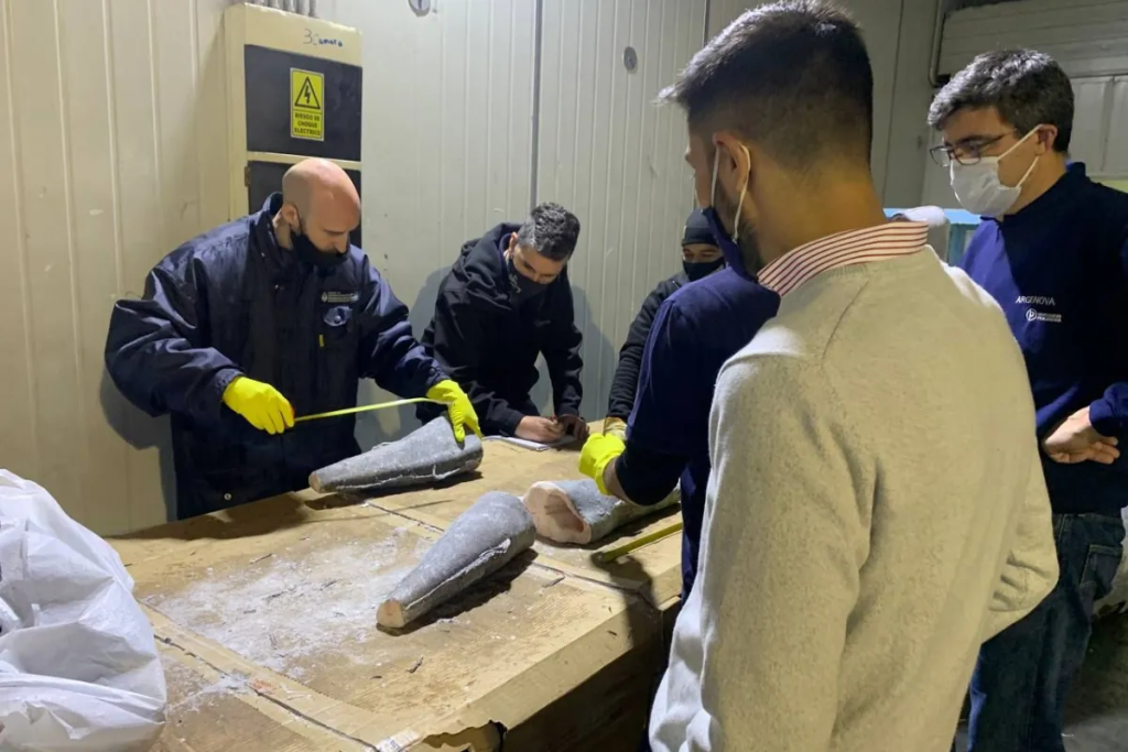 Crean la Unidad de Seguimientos Especiales Pesqueros