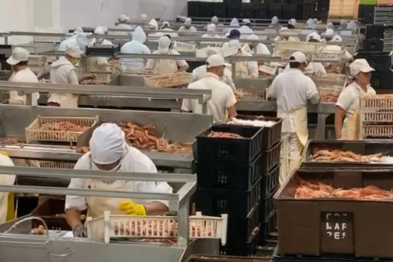 Bajan derechos de exportaci贸n para productos elaborados del mar argentino