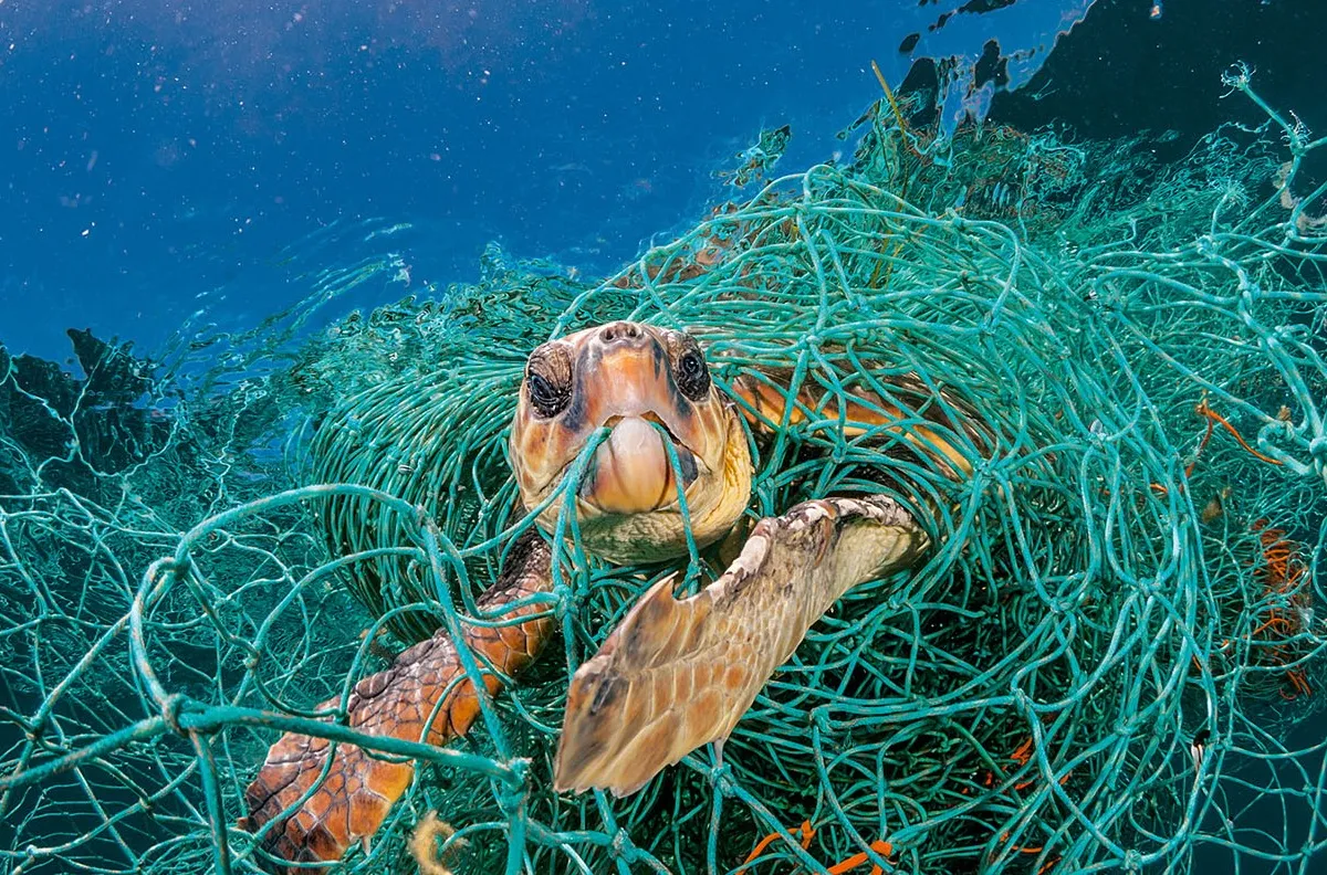 Basura, residuos plásticos. Impacto y soluciones