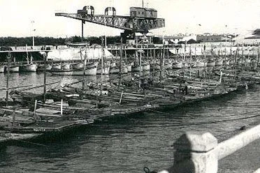 21 de Noviembre. Día Mundial de la Pesca