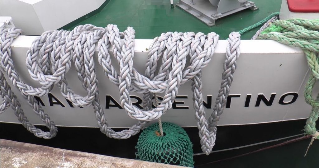 Intenso movimiento en el muelle del INIDEP