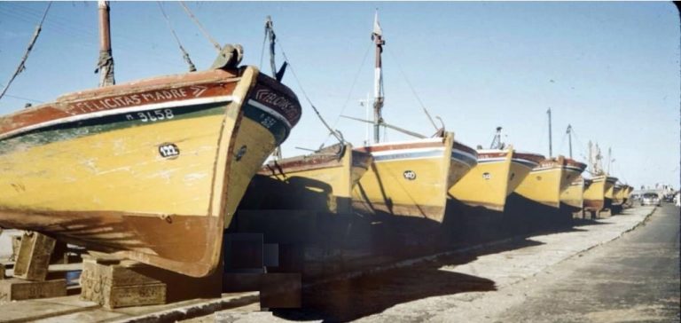 El mercado manda, la rentabilidad ordena