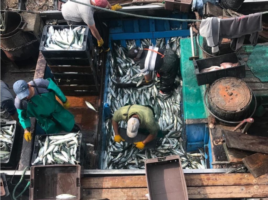 Una vuelta por el puerto, el com煤n denominador, trabajo e inversi贸n