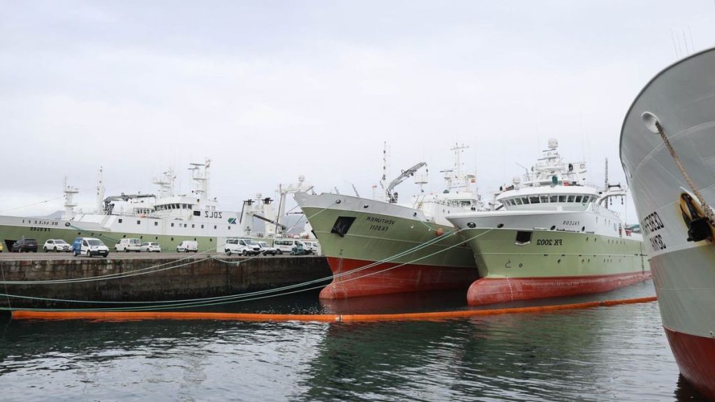 Calamar loligo. La flota de arrastre espa帽ola en Islas Malvinas, retorna al puerto de Vigo