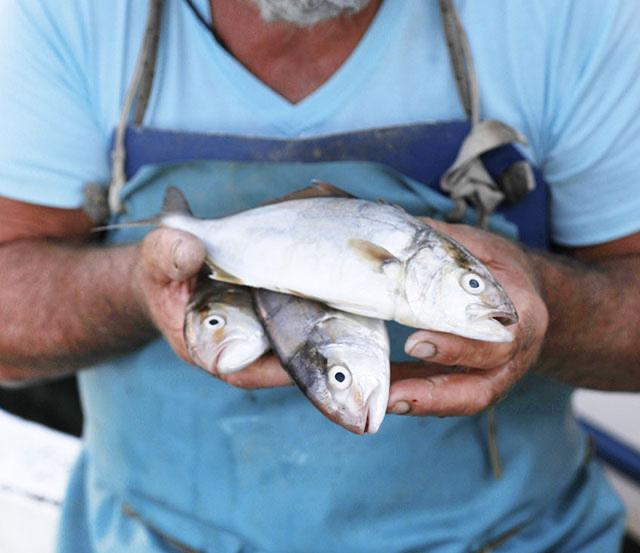 Proyectan mayor apoyo a la pesca artesanal de Mar Chiquita