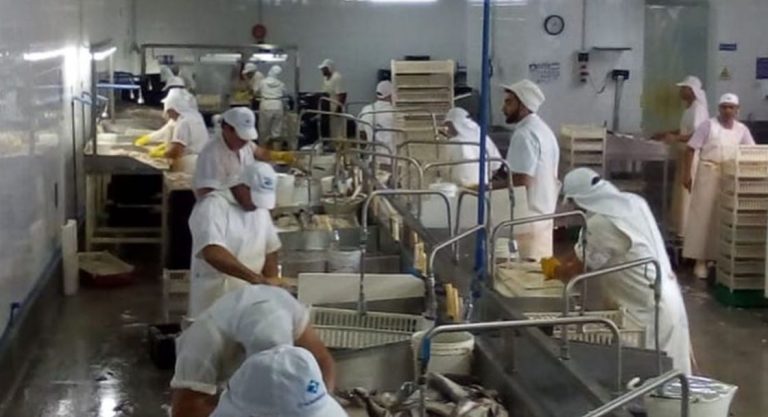 Puerto Mar del Plata, poca actividad y clima incierto. Falta pescado para procesar en plantas, SOIP mira alerta
