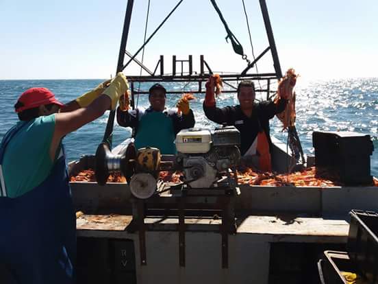 Prefectura actualiza normas para la pesca artesanal - Pescare