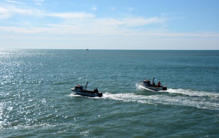 Gatuzo, se busca: finaliz贸 la campa帽a de marcaci贸n conjunta con Uruguay