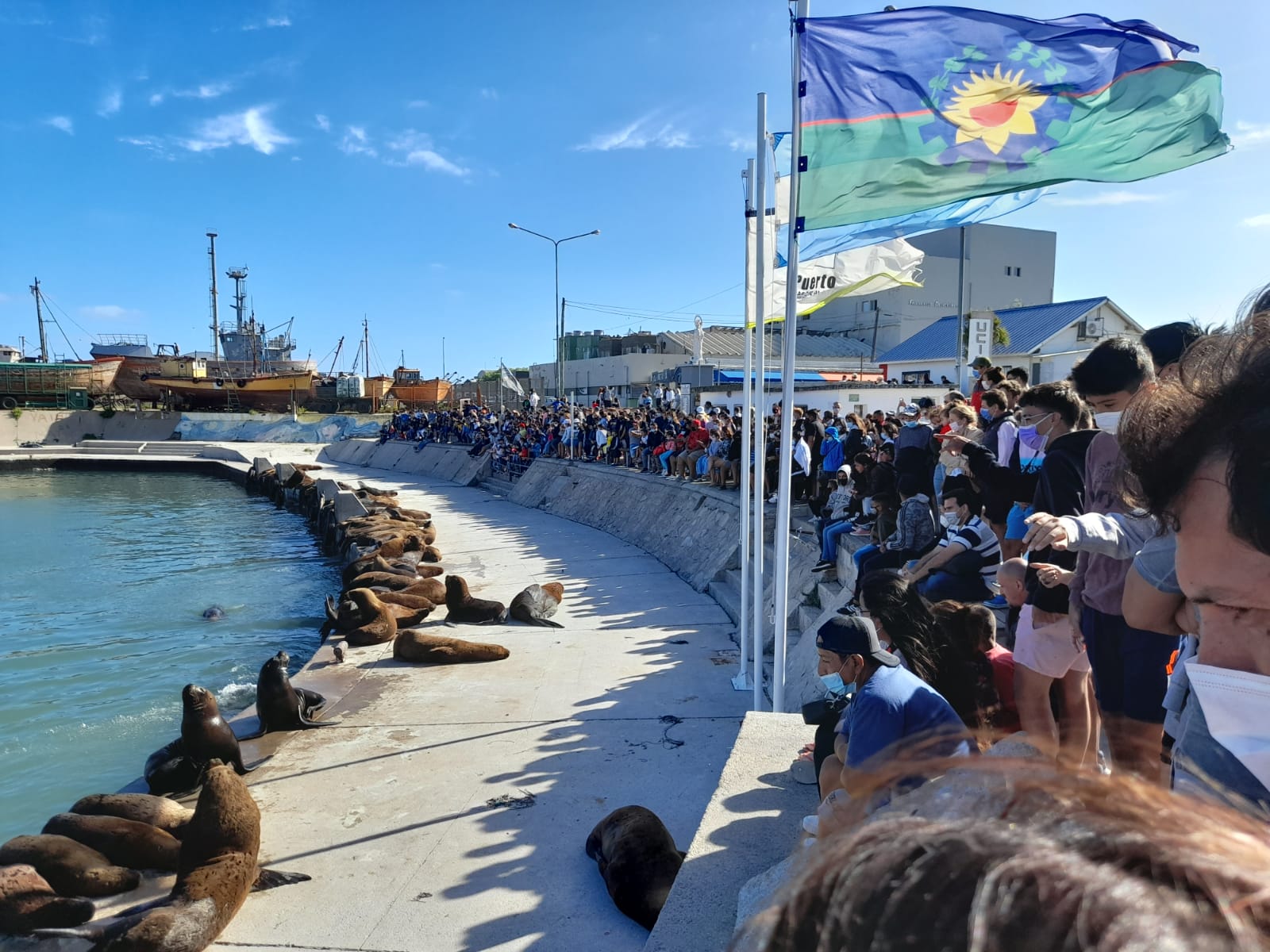 Concurso Nacional: 芦Nuevo paseo banquina chica禄