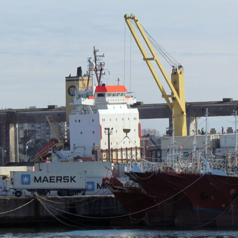 Rigen nuevos valores referenciales para exportaciones de langostinos