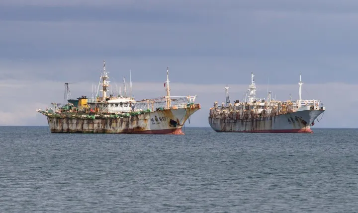 Pesca ilegal: calamar Illex, Islas Malvinas