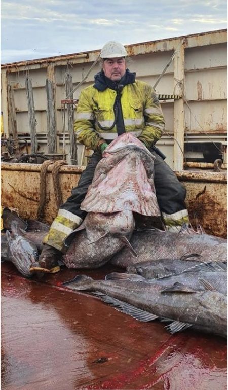 Merluza: nuevas disposiciones fijan la Cuota Individual Transferible de Captura