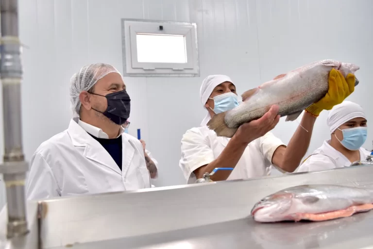 Piedra del 脕guila inaugura planta de procesado de truchas de cultivo