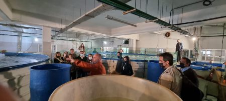 Expo Agro 2022: El cultivo de pescados y mariscos hace debut en esta edici贸n