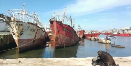 Nueva designaci贸n en puertos y v铆as navegables