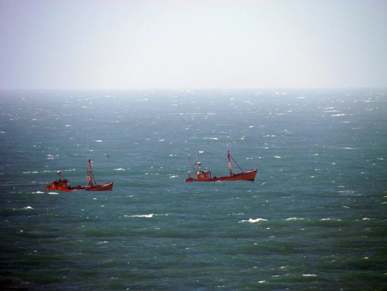 Avance de la justicia sobre la pesca artesanal y costera de arrastre