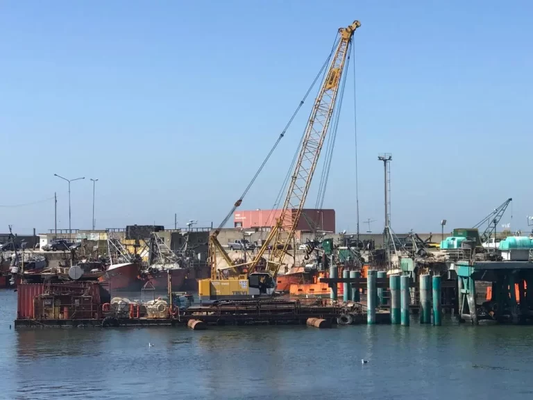 Recorrida por los muelles de Mar del Plata