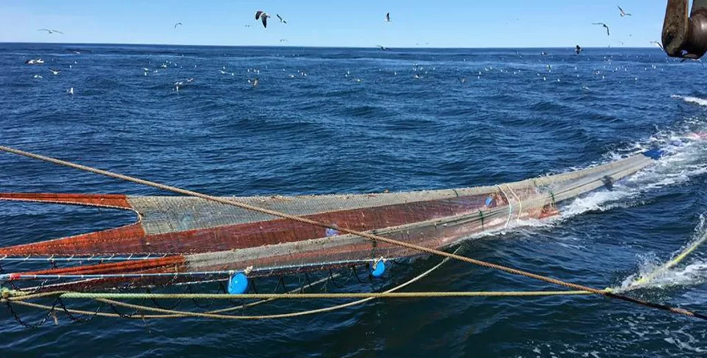 Reunión del Consejo Federal Pesquero, temas destacados