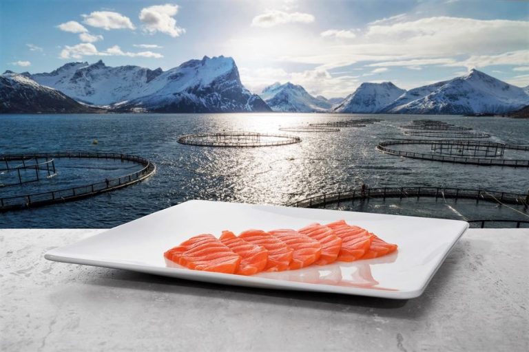 Noruega: Febrero récord para las exportaciones de productos de mar