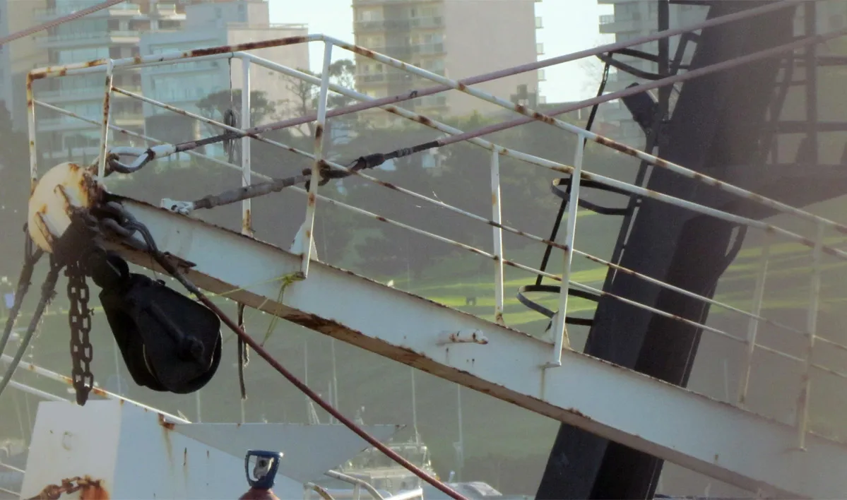 A días de la apertura en el norte, los tangoneros arman para su despacho a langostino