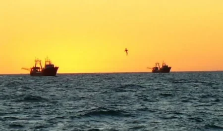 Nuevas disposiciones de la Direcci贸n Nacional de Control y Fiscalizaci贸n Pesquera