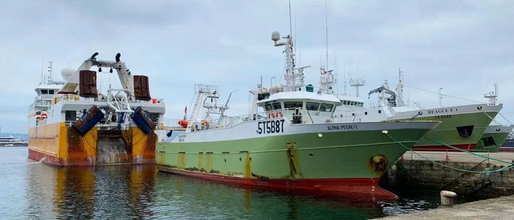 Fuerte caída en rentabilidades de la pesca española dan oportunidad a pesca argentina