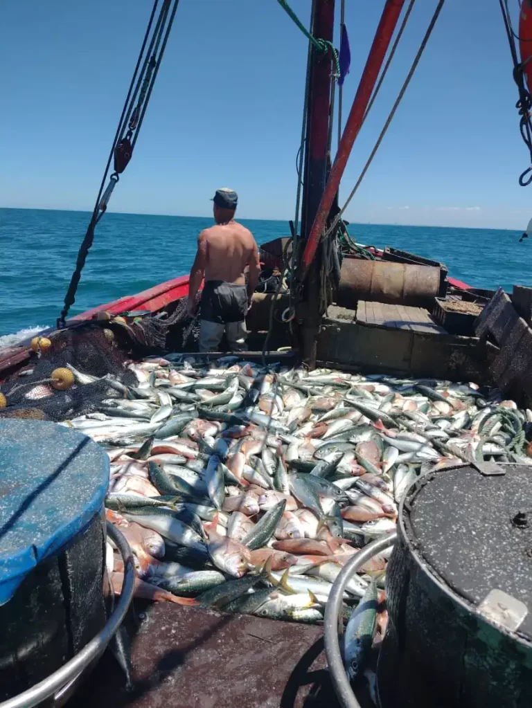 Resoluci贸n 2/2022 de la CTMFM pone mayor restricci贸n de capturas al Besugo y Pez Palo