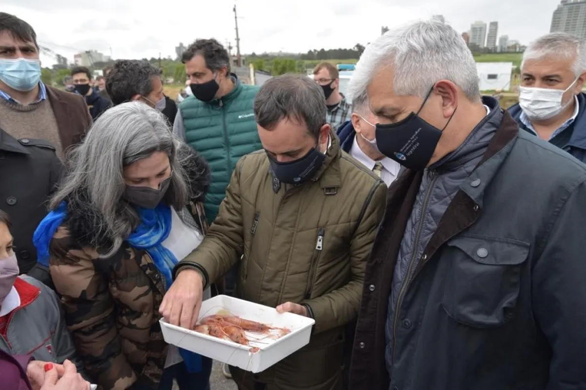 El Consejo Federal Pesquero otorgó una prórroga para la presentación de proyectos