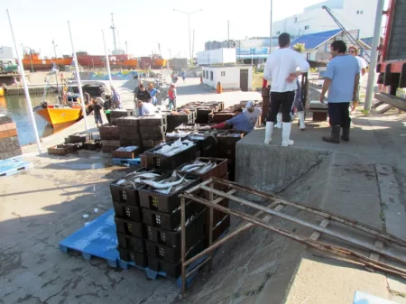 Se presentaron 12 proyectos para remodelar la banquina hist贸rica de pescadores