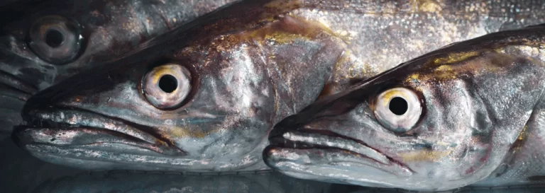 Parorama del Puerto: martes por la tarde