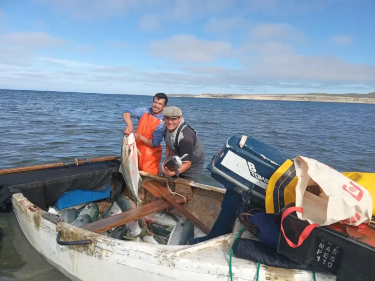 La FAO declar贸 el 2022, como el A帽o Internacional de la Pesca y la Acuicultura artesanal