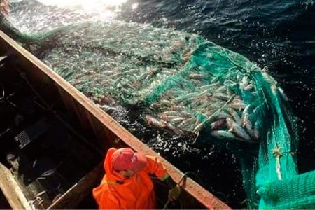 Lo que dej贸 la 煤ltima sesi贸n del Consejo Federal Pesquero. Nuevas resoluciones para CITC de Merluza y Captura M谩xima Permisible de 3600 toneladas para el abadejo