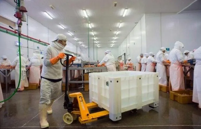 Preocupante I. No cesan los reclamos de la STIA en Rawson pesquera