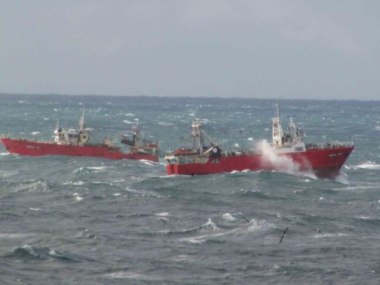 Es oficial, contin煤a abierta la pesca de langostino fuera de la ZVPJM