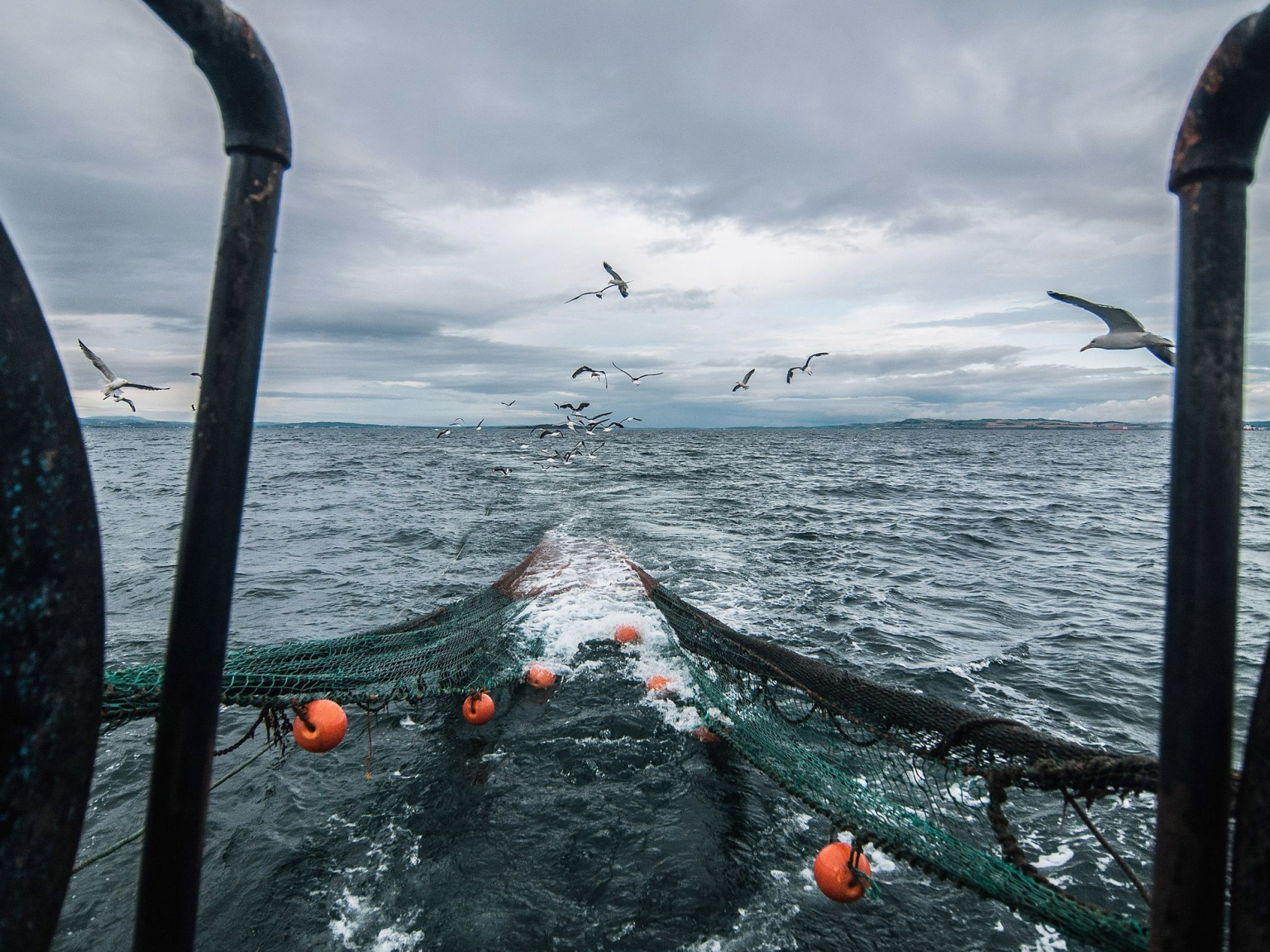 Parlamento Europeo frena embate ambientalista