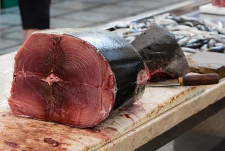 Día mundial del Atún, una especie que dejó de pescarse