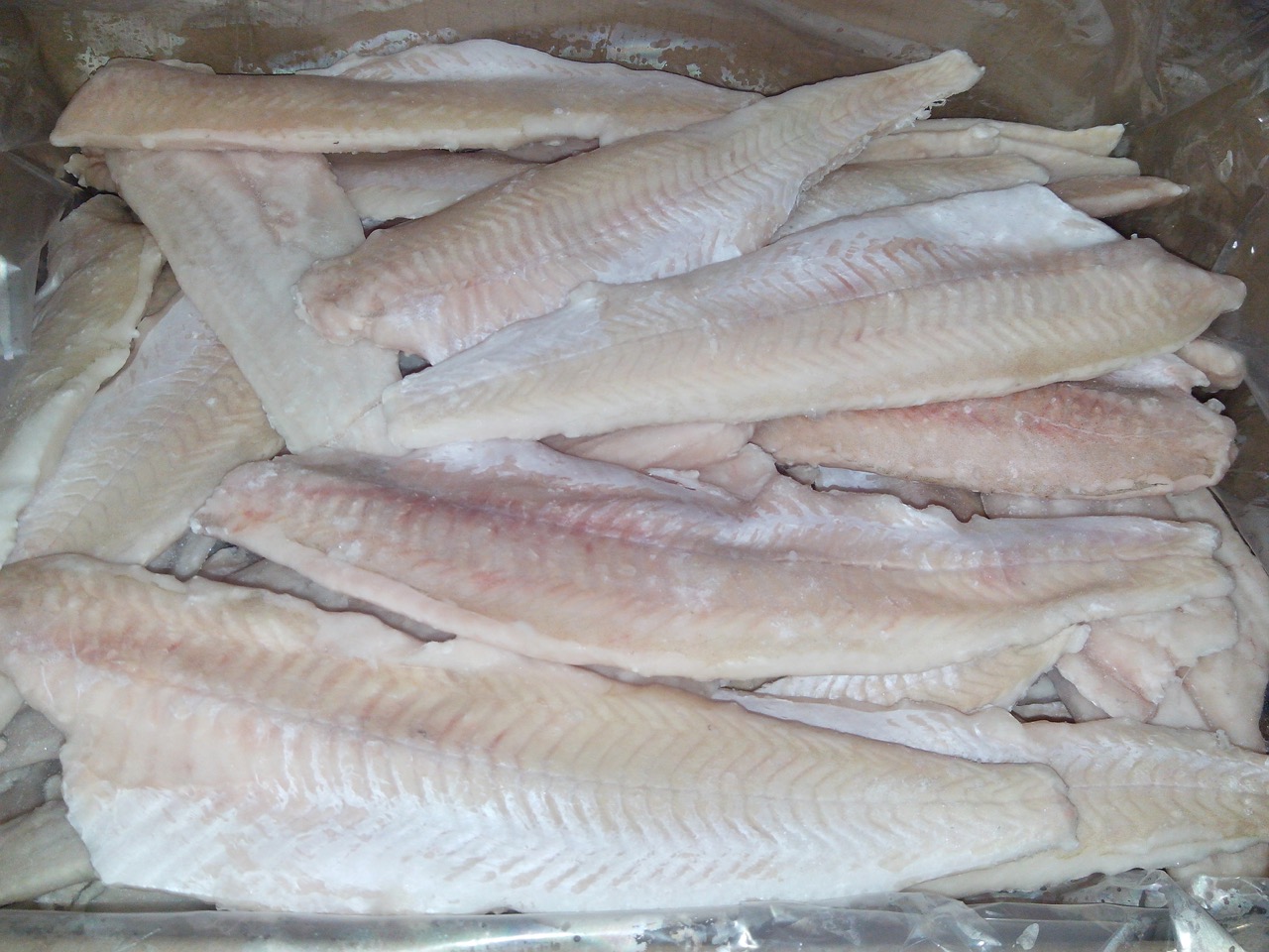 Merluza a Brasil. Se instrumentan medidas para solucionar inconveniente. Primer cuatrimestre 29% menos