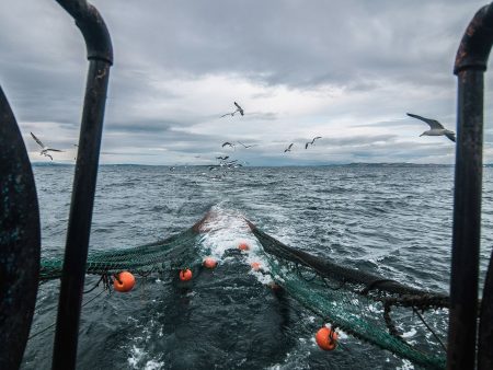 Consejo Federal Pesquero. Sesi贸n semanal, Acta Nro.1/2023