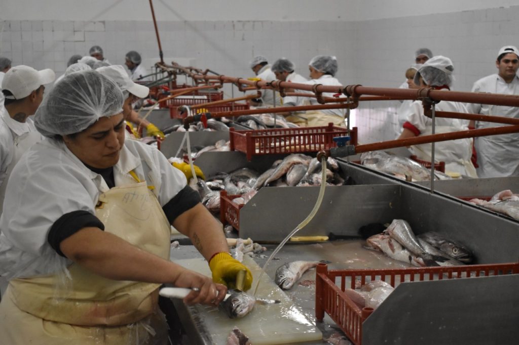 Buscan solución para empleo genuino en Rawson