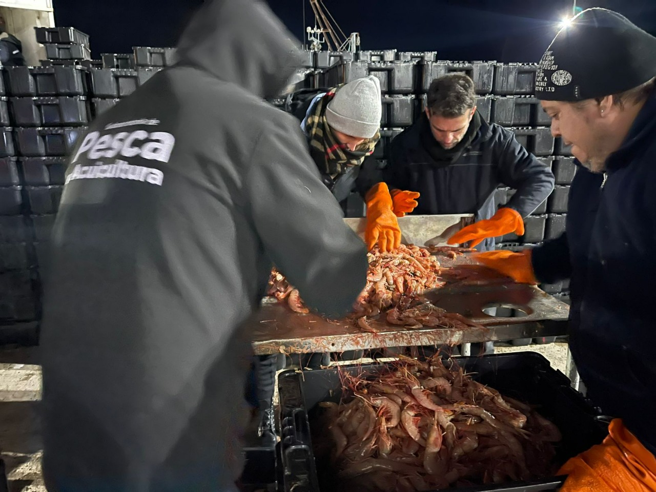 Aumenta la rigurosidad por sub-declaración de capturas