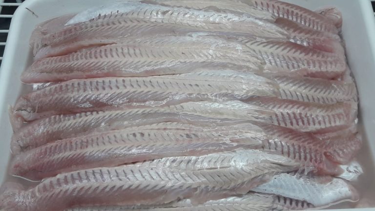 SENASA trabaja en medidas conjuntas con su par brasileña para flexibilizar ingreso de merluza al vecino paÃs