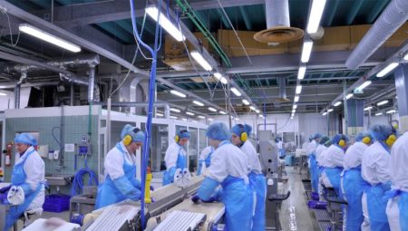 Se realizar谩 un relevamiento de plantas procesadoras de pescado en Mar del Plata