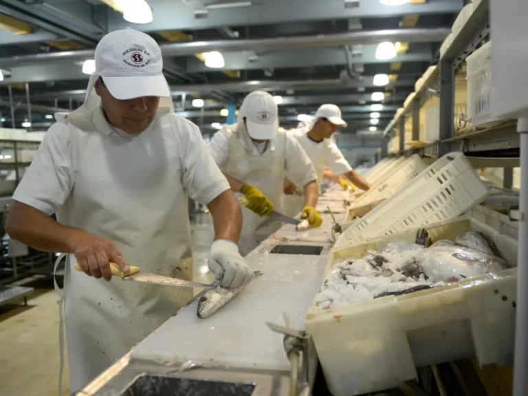 Proyecto de Jubilaciones para trabajadores de la Industria del Pescado