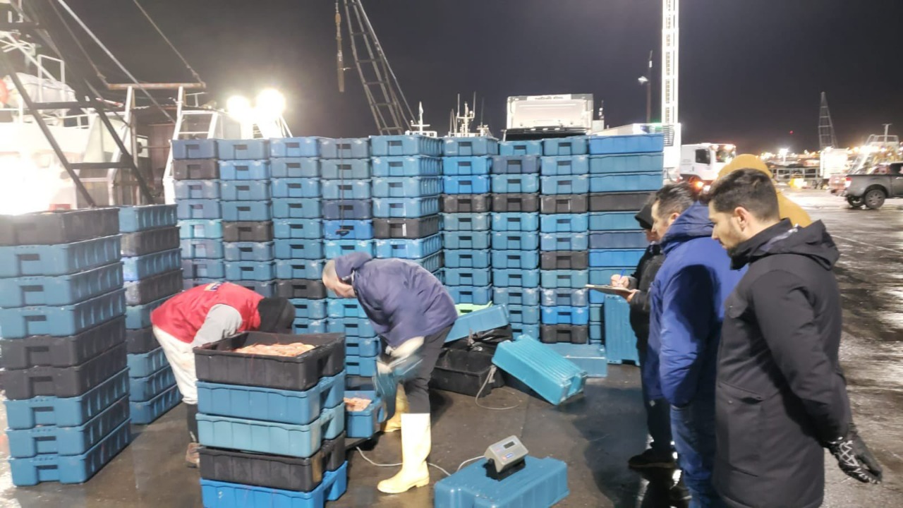 Informe sobre controles en los puertos del litoral argentino