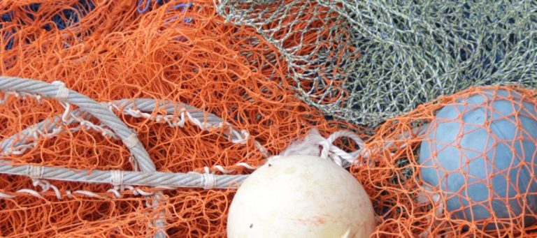 Consejo Federal Pesquero. Sesion贸 el d铆a mi茅rcoles, Acta Nro.20/22 y Resoluci贸n Nro.10/22